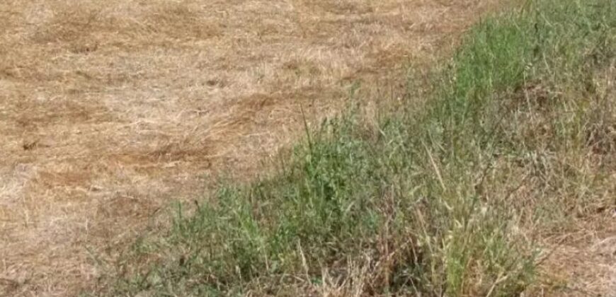 12.5 Kanal Vacant Land, Kallar Kahar Chakwal Road